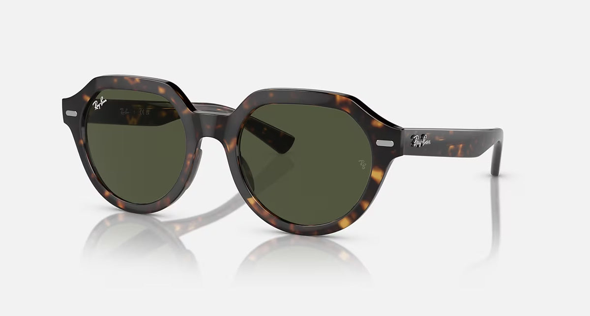 RAY-BAN GINA N/POLARISED SUNGLASSES