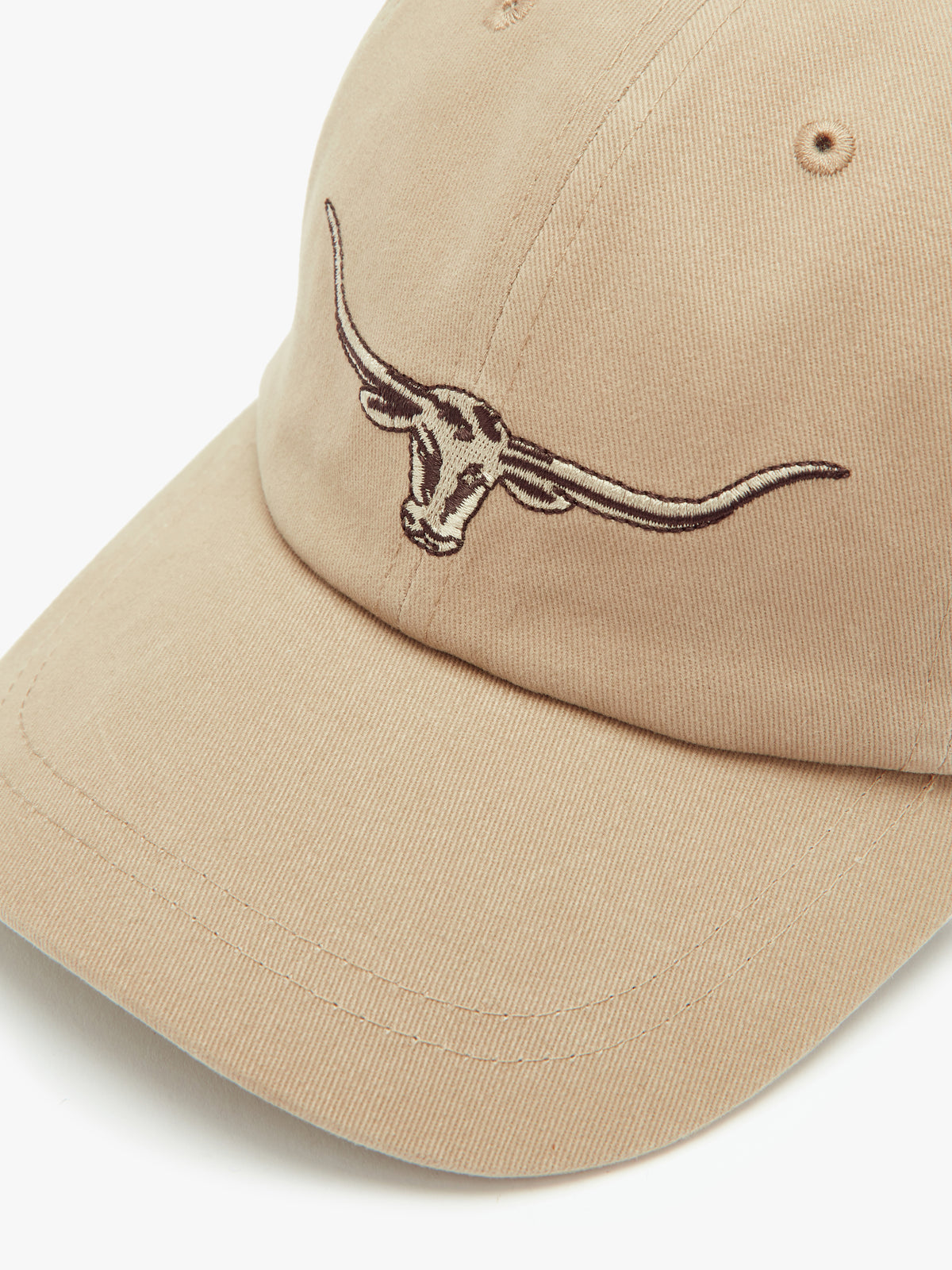 RMW LONGHORN LOGO CAP